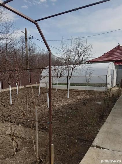 Casa de vanzare - 4