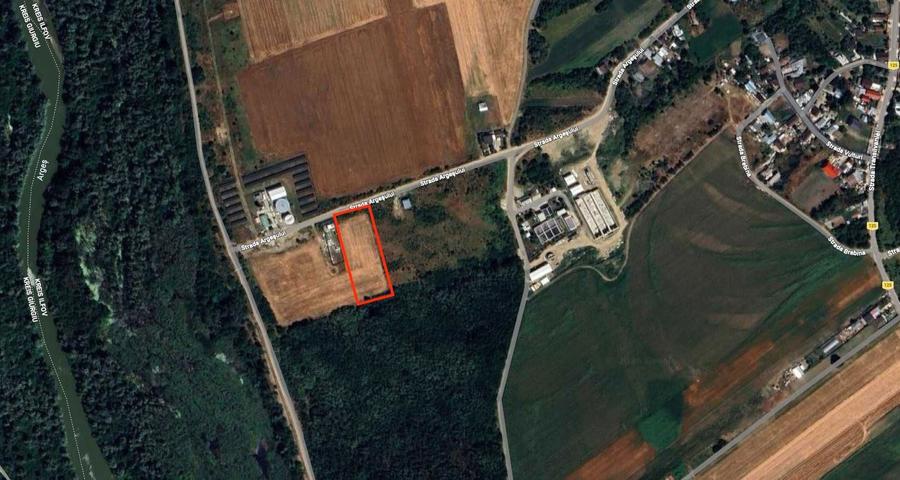 Teren Teghes Domnesti 5696mp - 1