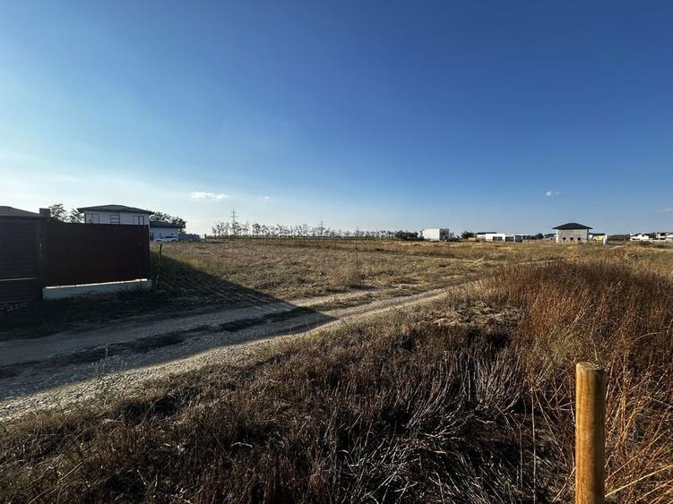 Teren intravilan Berceni - Vidra / curent si gaze la poarta - 7