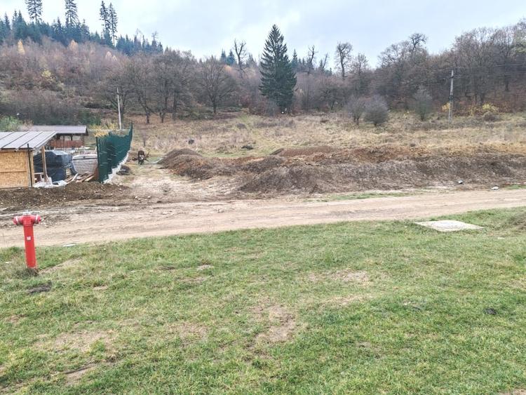 Investitie sigura: teren intravilan extrordinar, cu deschidere la padure - 3