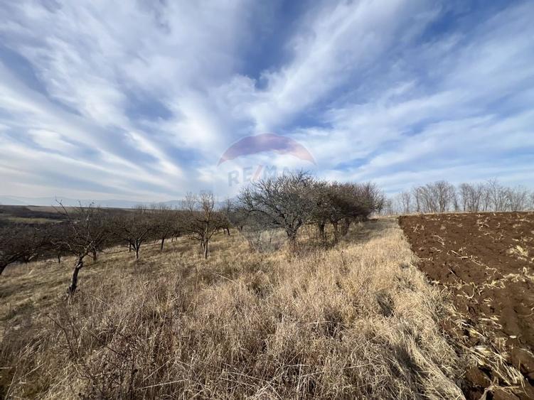 Teren intravilan Bădeni, central - 3