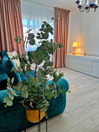 🏡 Apartament 2 camere PALAS  - poze reale, mobilat si utilat complet,  PRET 450 - 10
