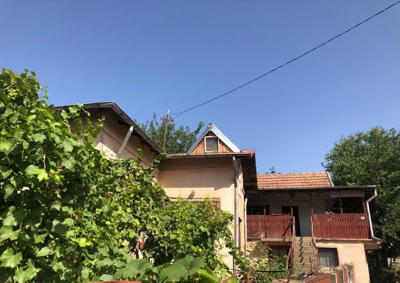 Vand casa, teren 2700 mp, com. GROJDIBODU, jud. OLT - 8