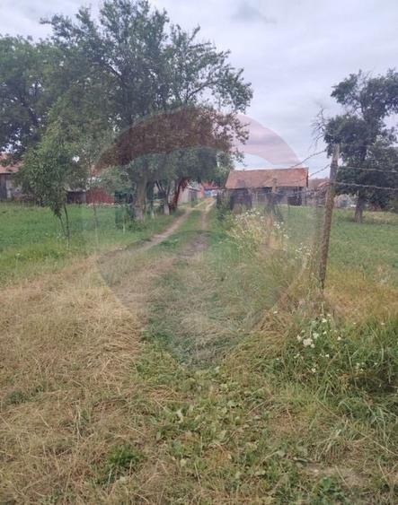 Teren Construcții intravilan de 1620 mp, în Comana de Jos