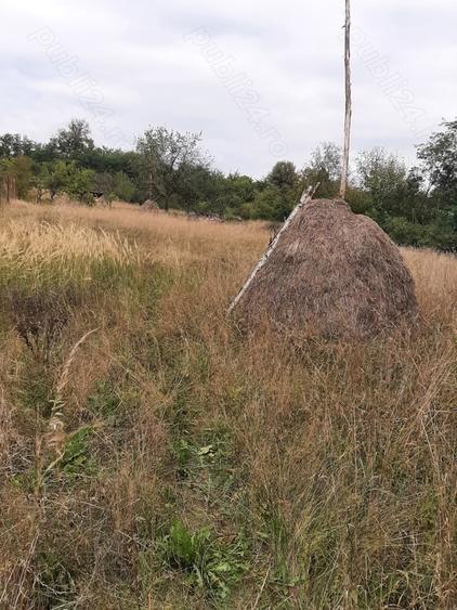 Teren de 4700 mp, în Central