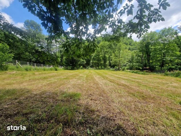 Teren ideal pentru casa de vacanta, aproape de coada lacului Tarnita - 5