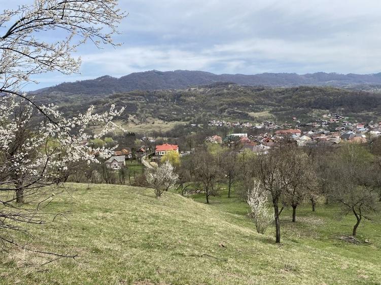 Teren de 22000 mp, în Corbi