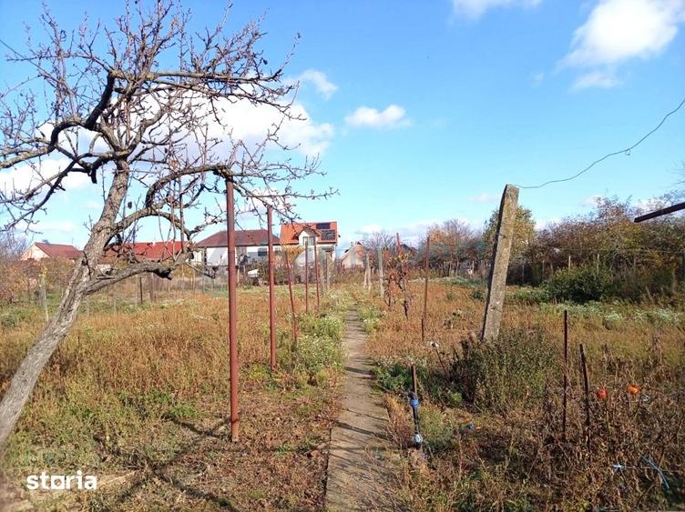 Casa cu teren 1439mp de vanzare in Osorhei, Bihor, Gaminvest, V4452 - 3