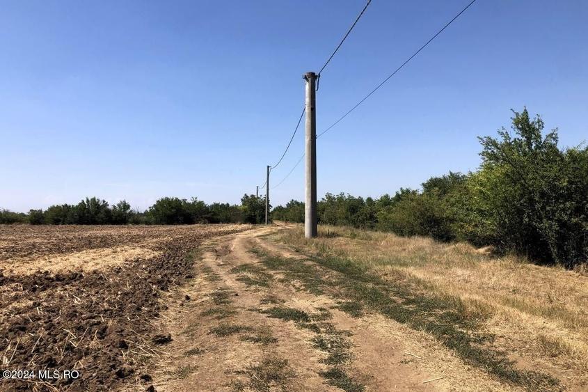 Teren Construcții extravilan de 11884 mp, în Moara Vlăsiei
