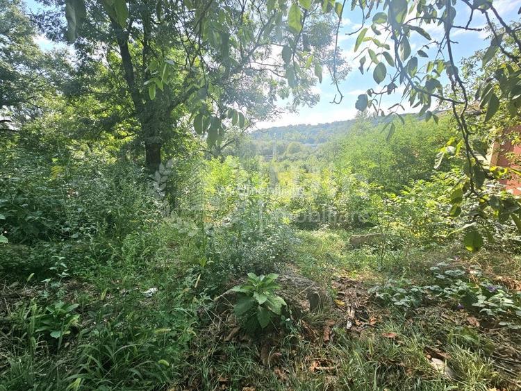 Teren construibil imediat | 1000mp | Front 12,85m | Dambul Rotund!