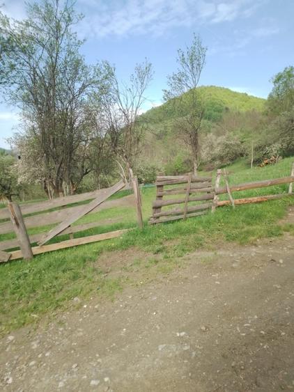 Vând teren intravilan in com. Vidra jud. Alba. - 1