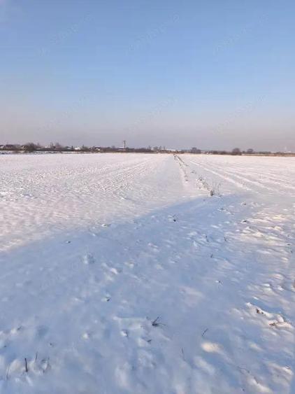 Teren intravilan, zona Scruntari, 8700mp, 30ml front stradal, Radauti - 1