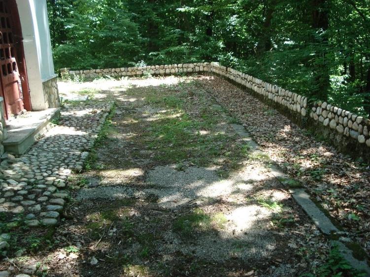 Casă individuală cu 25 camere cu Piscina în Micești