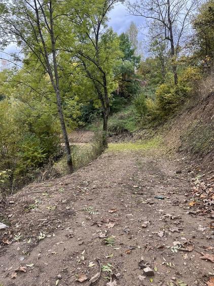 Teren de vanzare-Muntele Rece - 1