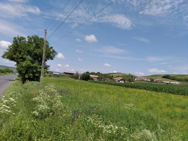 TEREN INTRAVILAN EXCEPTIONAL 6.600 MP LA MARGINEA SOSELEI ASFALTATE - IEFTIN ! - 4