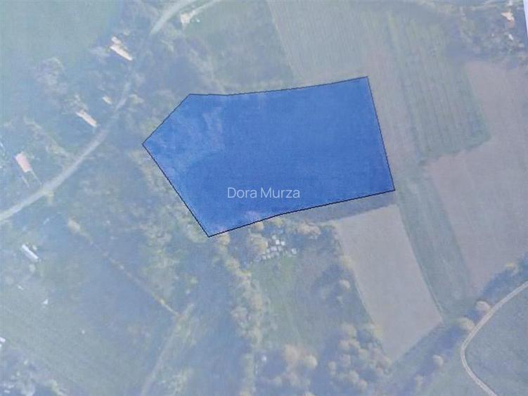 RECO teren intravilan sub 2 euro euro mp  in Izvoarele