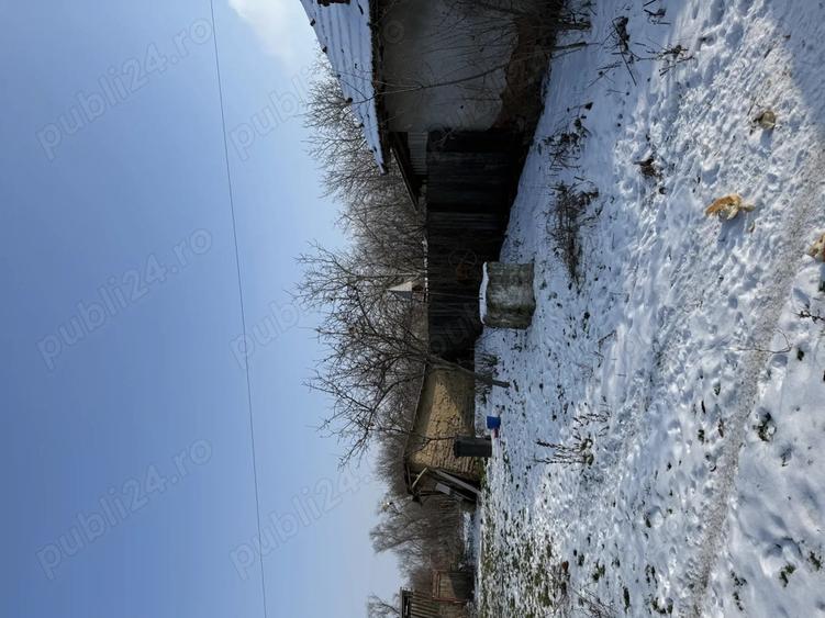Casa batraneasca cu teren generos 3700mp - 3