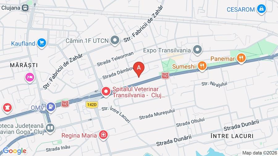 Apartament 66,79 MP Vinzare - 1