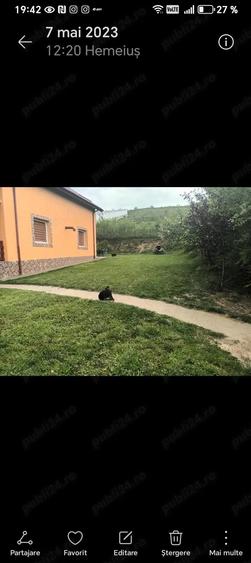 Proprietar vand casa la hemeiusi 155 000e neg - 1