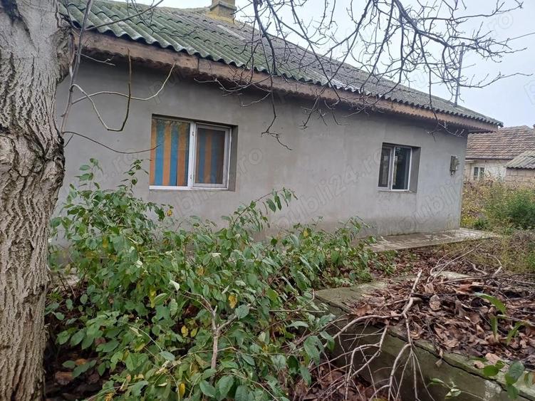 Dau in Chirie Casa Movila - 7