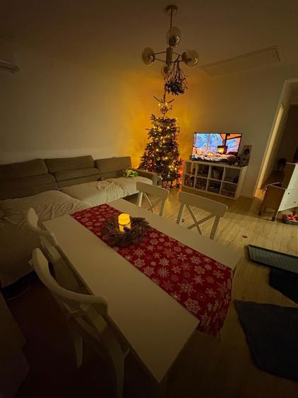 Vand casa mobilata! - 8