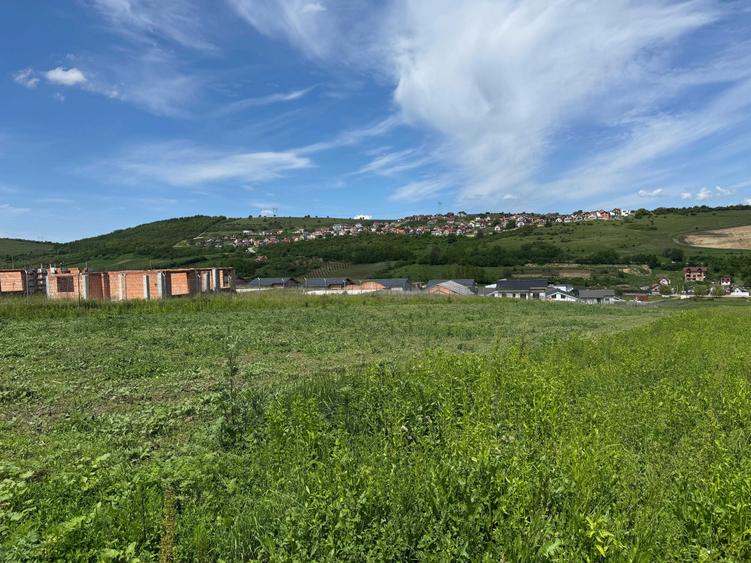 De vanzare teren intravilan Sura Mare - 3