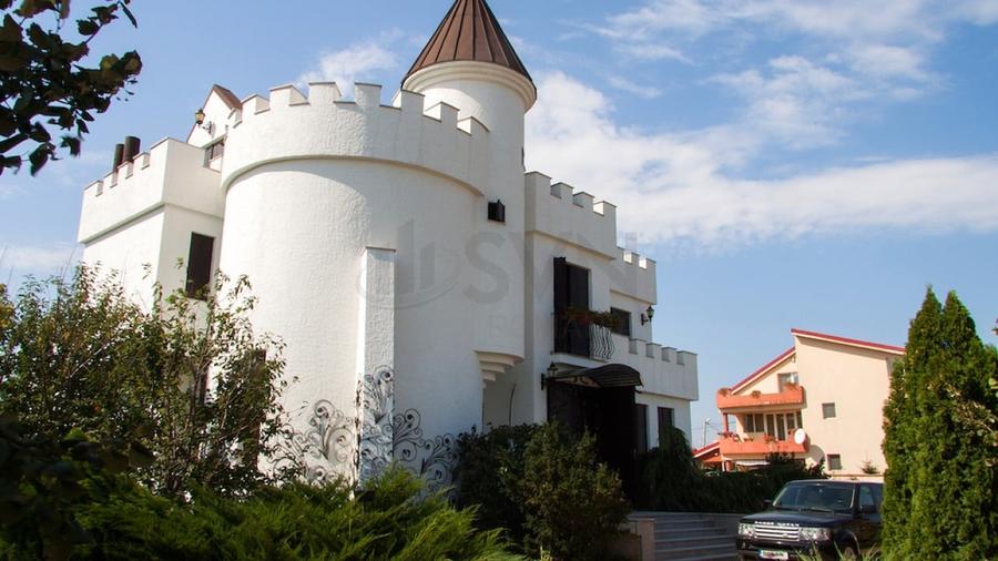 REV2000904 Vila spectaculoasa - zona Cernica - 2