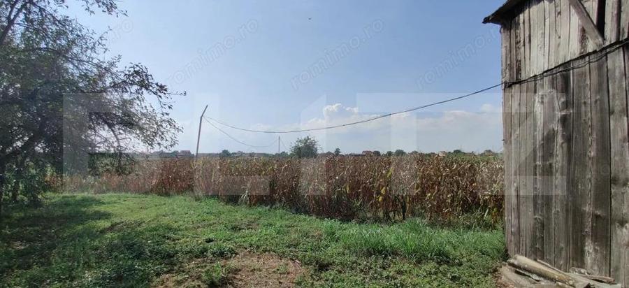 Casa mare cu gospodarie completa Belin?, jude?ul Timi? teren 4.900 mp - 16