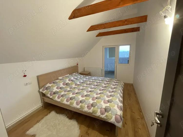 Vand cabana la Belis - 5