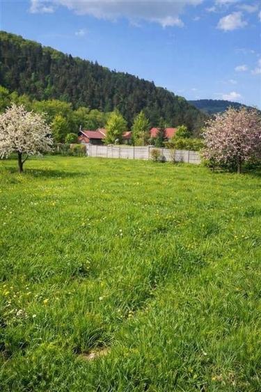 Teren cu proiect casa, in vecinatatea padurii Bradet, Sacele, Brasov - 2