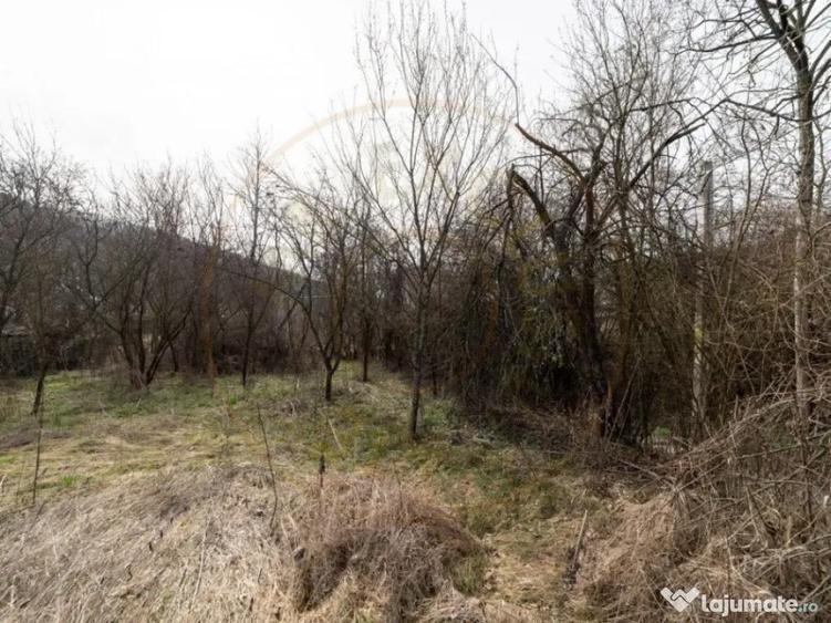 Teren de vanzare 1221 mp in Budeasa Mica, zona lini? - 6