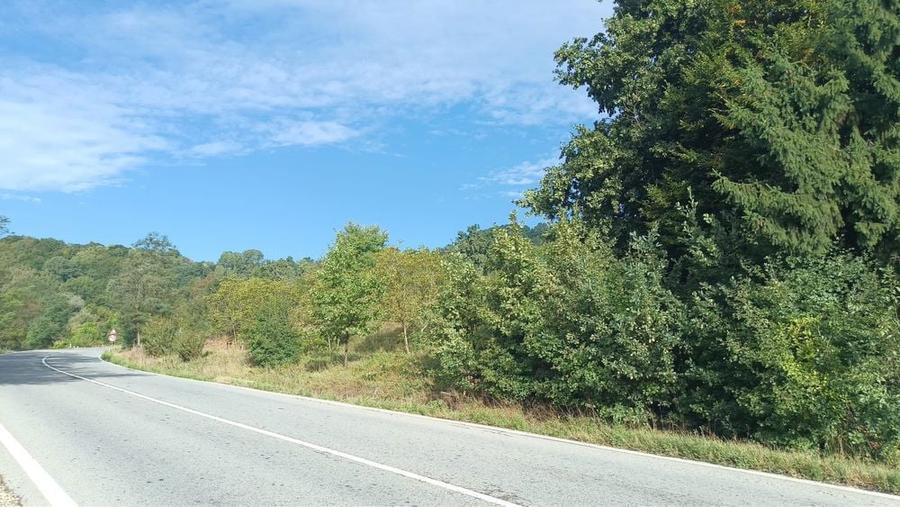 Teren de vanzare Barlogu valcea - 2