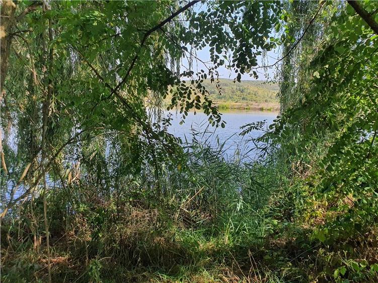 Teren intravilan Sacel -zona lacuri -ultimul lot de 900mp - 27