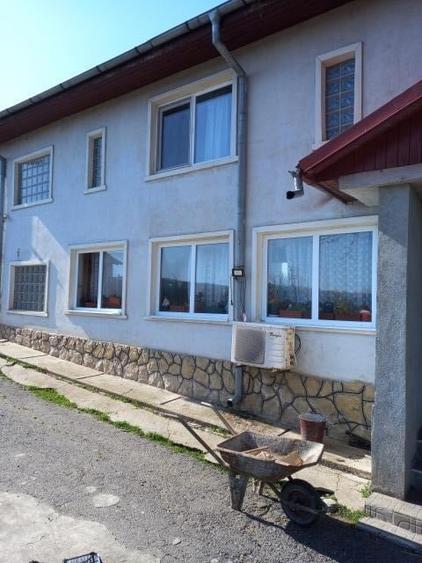 Vand vila situata in sat Plopsoru, comuna Daia - 6