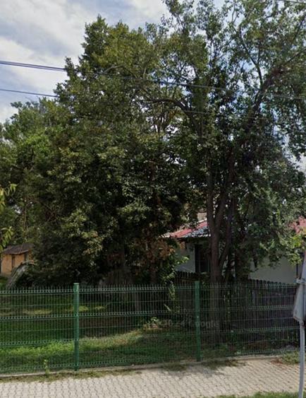 Vand casa batraneasca - 2