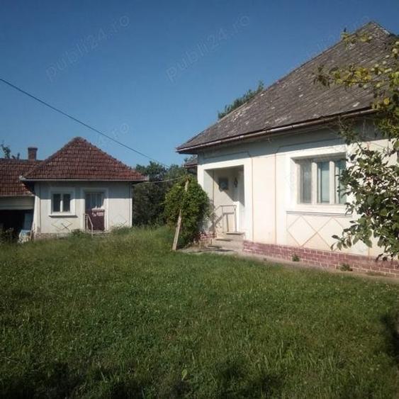 Loc. Basesti (jud. MM) casa de vanzare cu 8.000 mp teren - 2