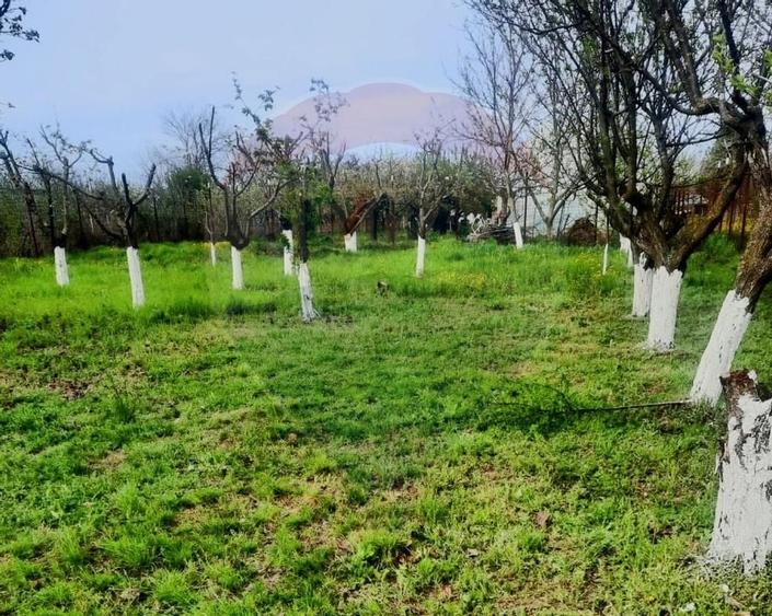 Casa de vanzare cu livada si piscina - Giurgiu - 21