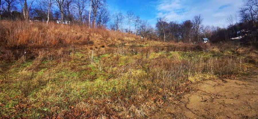 Teren Spitalul judetean pret redus 50% 16 euro mp 6000 mp - 8