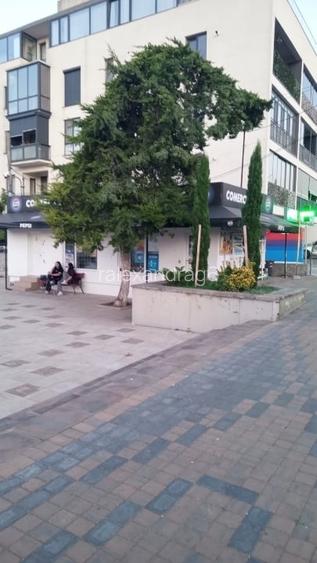 Inchiriez spatiu comercial Ovidiu CT