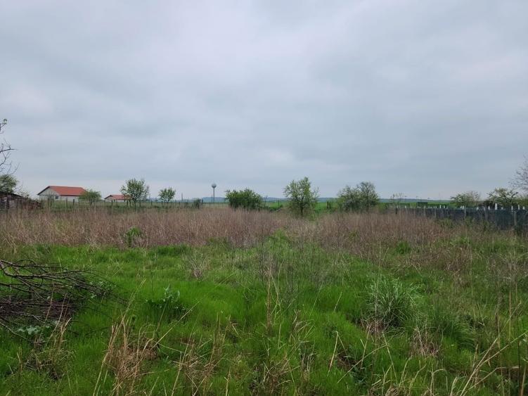 Casa + teren Rogova 7000mp - 3