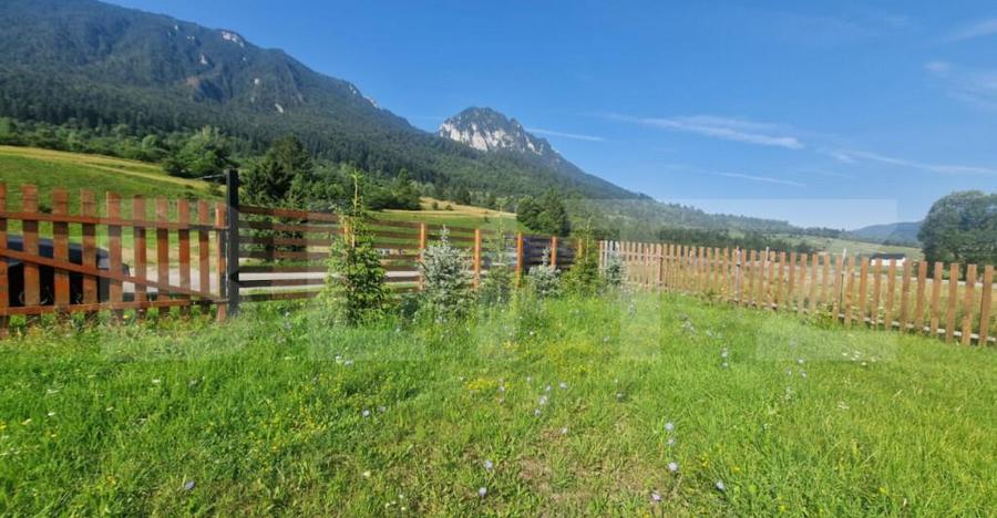 Teren Plaiul Foii, vedere spre muntii Bucegi si apa Barsa 10 - 3