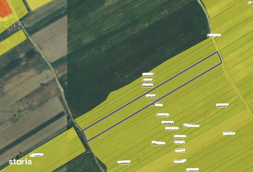 Teren extravilan, Comuna Zatreni, Jud. Valcea - 4