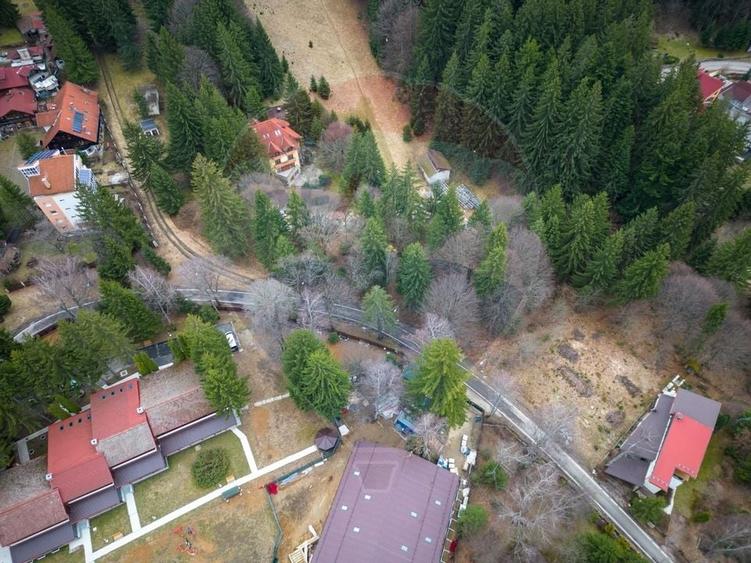 Teren 2000mp intravilan de vanzare in Poiana Brasov! Comision 0%! - 14