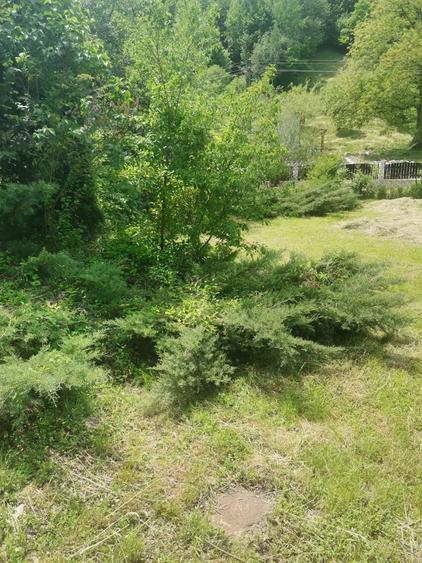 Casa Caras Severin Rusca Montana - 10