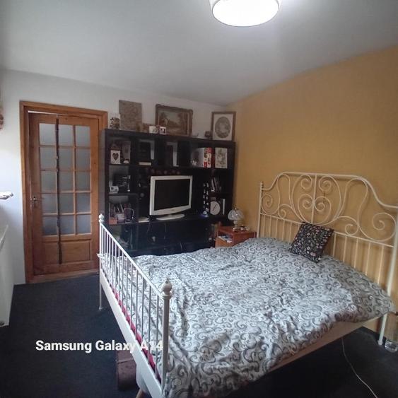 Casa si spatiu comercial Liceul 1MAI - 8