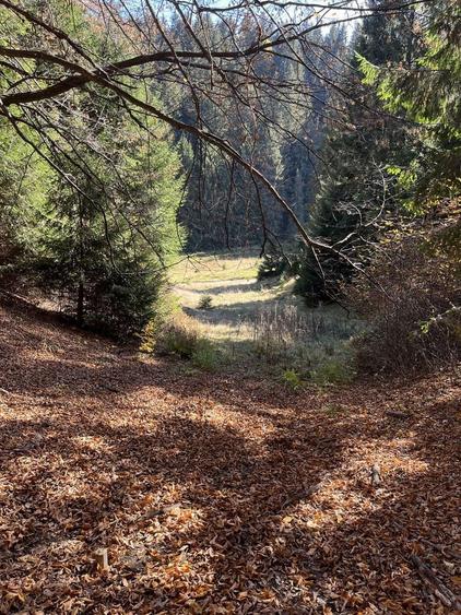 Teren intravilan Poiana Brasov - 5