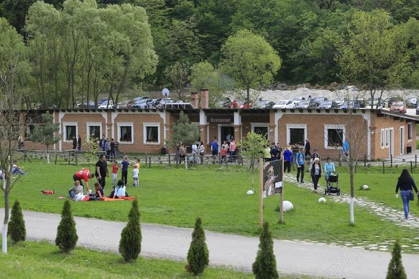 Domeniul Herneacova - 6