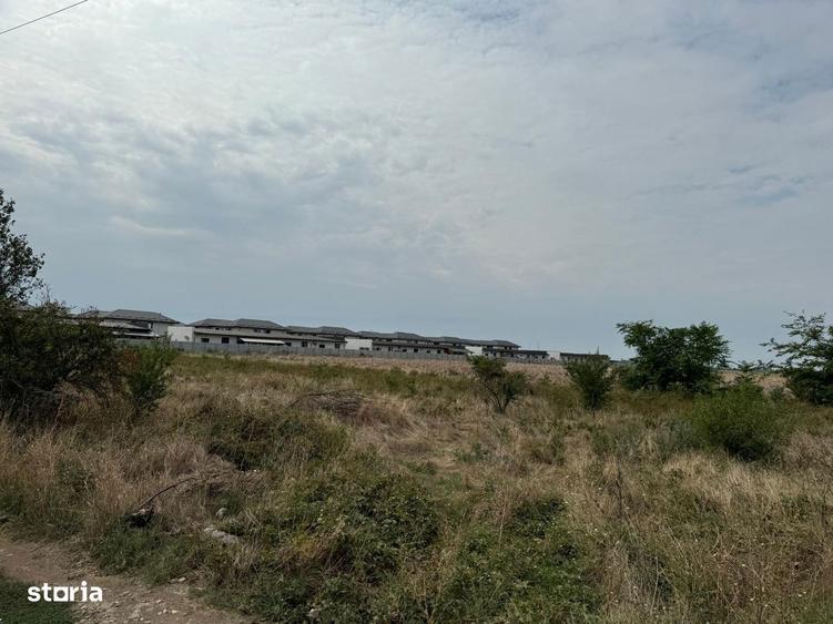 Vanzare Teren construibil MAGURELE VARTEJU 20000MP - 2