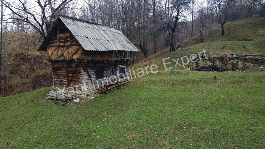 Teren de vanzare in comuna Arefu, jude? Arge?. - 4