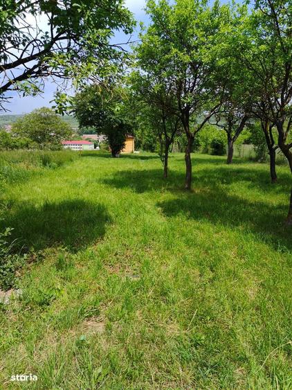 Teren de vanzare - 3